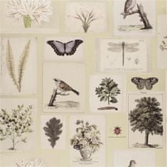 JOHN DERIAN Tapeta FLORA AND FAUNA CANVAS, kolekce PICTURE BOOK PAPERS