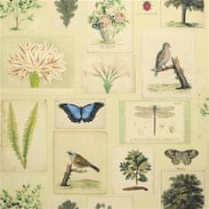 JOHN DERIAN Tapeta FLORA AND FAUNA PARCHMENT, kolekce PICTURE BOOK PAPERS