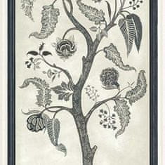 Cole & Son Tapeta TREES OF EDEN PARADISE 14042, kolekce MARTYN LAWRENCE BULLARD