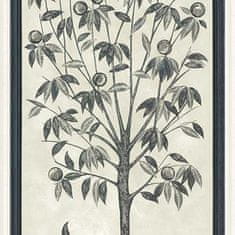 Cole & Son Tapeta TREES OF EDEN ETERNITY 14041, kolekce MARTYN LAWRENCE BULLARD