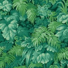 Cole & Son Tapeta ROYAL FERNERY 3009, kolekce MARTYN LAWRENCE BULLARD