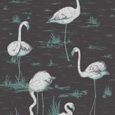 Cole & Son Tapeta FLAMINGOS 8048, kolekce CONTEMPORARY RESTYLED