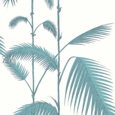 Cole & Son Tapeta PALM LEAVES 2012, kolekce NEW CONTEMPORARY