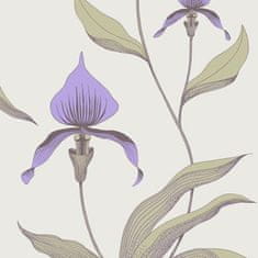 Cole & Son Tapeta ORCHID 4024, kolekce NEW CONTEMPORARY