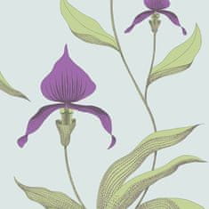 Cole & Son Tapeta ORCHID 4027, kolekce NEW CONTEMPORARY