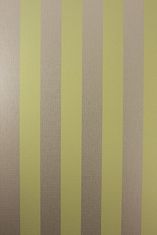 OSBORNE & LITTLE Tapeta METALLICO STRIPE 07 z kolekce METALLICO VINYLS