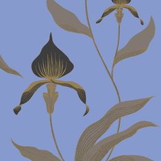 Cole & Son Tapeta ORCHID 4030, kolekce NEW CONTEMPORARY