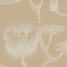 Cole & Son Tapeta LILY 3113, kolekce NEW CONTEMPORARY TWO