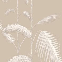 Cole & Son Tapeta PALM LEAVES 2013, kolekce NEW CONTEMPORARY