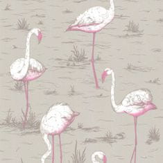 Cole & Son Tapeta FLAMINGOS 6042, kolekce NEW CONTEMPORARY