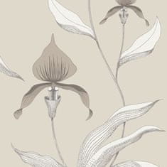 Cole & Son Tapeta ORCHID 10058, kolekce CONTEMPORARY RESTYLED