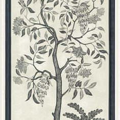 Cole & Son Tapeta TREES OF EDEN LIFE 14043, kolekce MARTYN LAWRENCE BULLARD