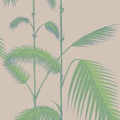 Cole & Son Tapeta PALM LEAVES 2011, kolekce NEW CONTEMPORARY