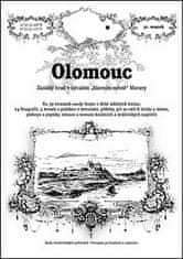 Rostislav Vojkovský: Olomouc - Zaniklý hrad v bývalém "hlavním městě" Moravy