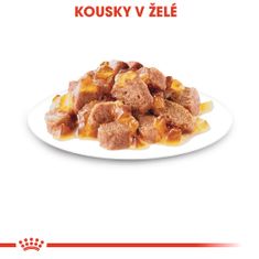 Royal Canin kapsička Ultra light in jelly 12 x 85 g