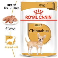Royal Canin kapsička Chihuahua Loaf paštika 12 x 85 g