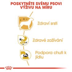 Royal Canin kapsička Chihuahua Loaf paštika 12 x 85 g