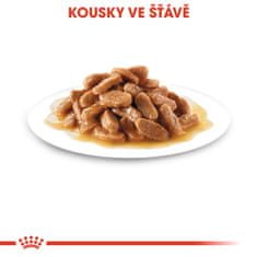 Royal Canin kapsička Mini Puppy 12 x 85 g