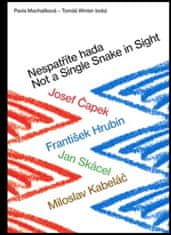 Pavla Machalíková: Nespatříte hada / Not a Single Snake in Sight - Josef Čapek, František Hrubín, Jan Skácel, Miloslav Kabeláč