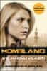 Andrew Kaplan: Ve jménu vlasti - Homeland. Carrie´s Run