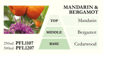 Ashleigh & Burwood Náplň do katalytické lampy MANDARIN & BERGAMOT (mandarinka a bergamot), 250 ml