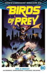 Bensonová Julie, Bensonová Shawna,: Birds of Prey 1 - Kdo je Oracle?