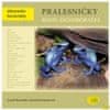 Rozínek Karel, Rozínek Karel ml.: Pralesničky rodu Dendrobates - Abeceda teraristy