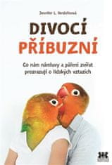 Jennifer L. Verdolinová: Divocí příbuzní - Co nám zvířecí námluvy a páření zvířat prozrazují o lidských vztazích