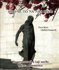 Doskočil Oldřich, Rýva Pavel,: Kdo se to na nás dívá! - Co prozrazují a tají sochy města Litoměřice