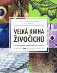 kolektiv autorů: Velká kniha živočichů od jednobuněčných po savce - Více než 1600 barevných ilustrac