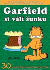 Jim Davis: Garfield si válí šunku - Číslo 30