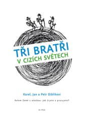 Diblík Jan, Diblík Petr, Diblík Karel,: Tři bratři v cizích světech Kolem Země s otázkou: Jak žijete