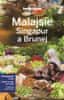 Malajsie, Singapur a Brunej - Lonely Planet