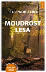 Wohlleben Peter: Moudrost lesa