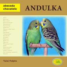 Václav Podpěra: Andulka