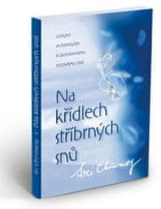 Sri Chinmoy: Na křídlech stříbrných snů - Otázky a odpovědi k duchovnímu významu snů