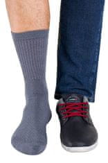 Gemini Pánské ponožky Regina Socks Polofroté Bambus šedá 43-46