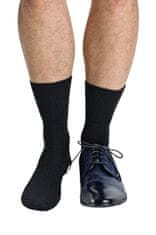 Gemini Pánské ponožky Regina Socks Frote Bambus šedá 43-46