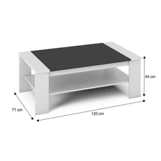 KONDELA Konferenční stolek, bílá / černá, BAKER