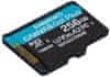 Kingston microSDXC 256GB Canvas Go Plus 170R A2 U3 V30 (SDCG3/256GBSP)