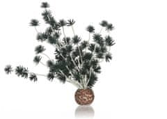 Oase Dekorativní rostlina Bonsai ball bílá