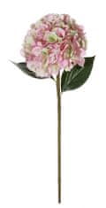 Shishi Hortenzie růžovo-zelená, 90 cm