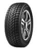 Delinte 195/55R15 85H DELINTE WD1