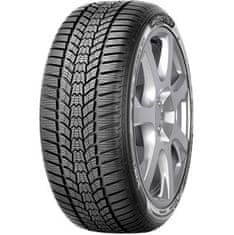 Sava 245/45R18 100V SAVA ESKIMO HP2