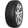 255/45R20 105V MINERVA FROSTRACK UHP XL M+S