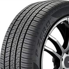 Pirelli 315/30R22 107W PIRELLI PZASBNCSXL