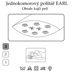 Ch. Fischbacher Polštář EARL 60 x 90 cm z kajčího peří v hladkém hedvábí tuhý