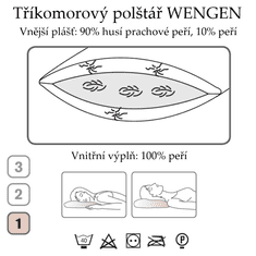 Ch. Fischbacher Polštář WENGEN 65 x 100 cm z husího prachového peří v bavlně měkký