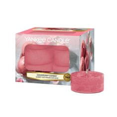 Yankee Candle Svíčky čajové , Růžový sorbet, 12 ks