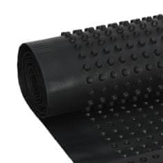 Vidaxl Nopové drenážní fólie 2 ks HDPE 400 g/m2 0,5 x 20 m